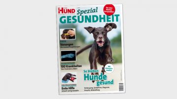 DerHund Cover Spezial Gesundheit
