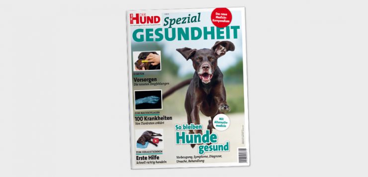 DerHund Cover Spezial Gesundheit