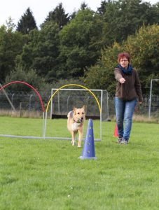 Petra und Sally Hoopers Agility