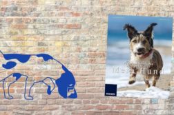 Buch-Rezension Regine Heuser