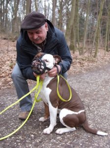 Training für die Maulkorbbefreiung