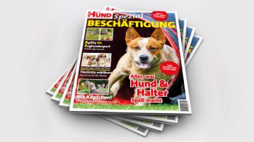 Sonderheft Beschäftigung