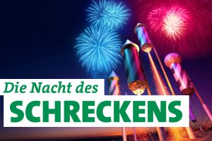 Die Nacht des Schreckens - Silvester