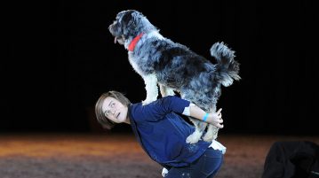 DOGLIVE - Hund auf Ruecken