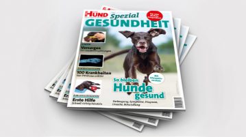 Sonderheft Gesundheit