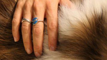 Sanft und wirksam: TTouches Hand auf Fell TTouch