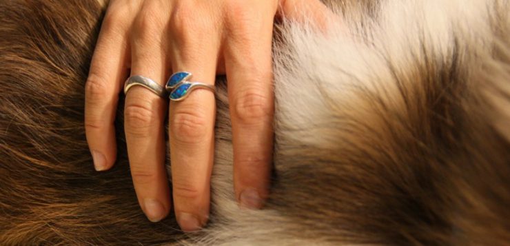 Hand auf Fell TTouch