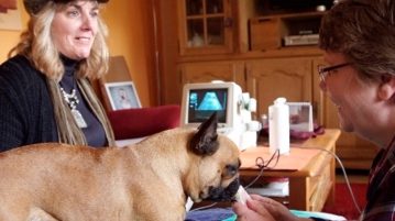 Hebamme für Hunde