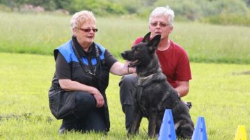 Laika lernt, mit Hunden klarzukommen Hund wird freundlich