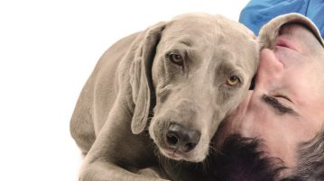 Hund Mensch Kopf an Kopf
