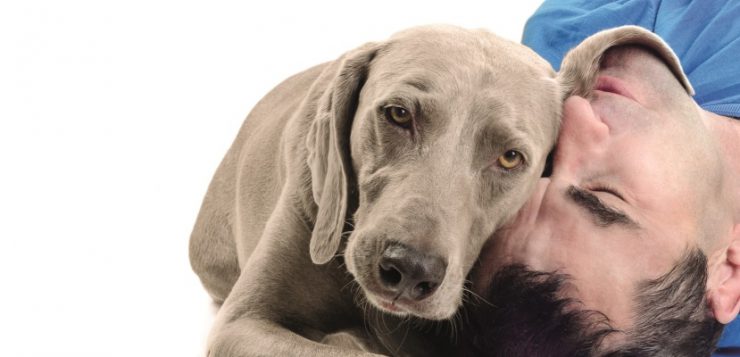 Hund Mensch Kopf an Kopf