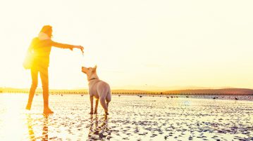 Reisen mit Hund: spielen am Strand