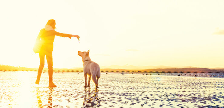 Reisen mit Hund: spielen am Strand