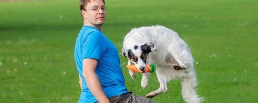 Hund und Mensch beim Crossdogging