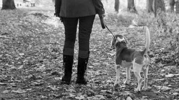 Mensch mit Hund im Wald