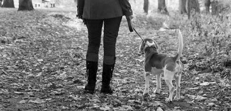 Mensch mit Hund im Wald