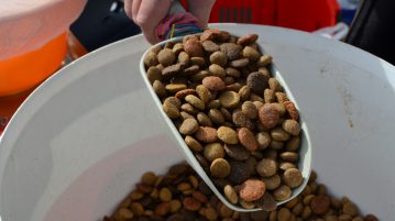 Hundefutter Schaufel Eimer