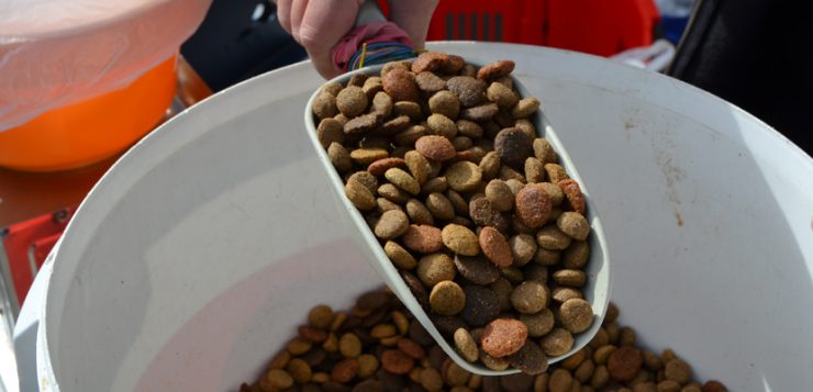 Hundefutter Schaufel Eimer