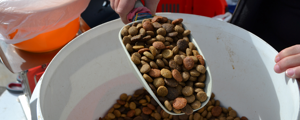 Hundefutter Schaufel Eimer