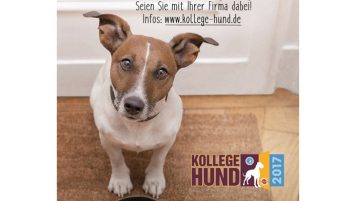 Kollege Hund 2017