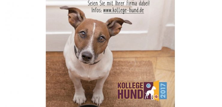 Kollege Hund 2017