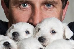 Der Faktor Mensch in der Hundezucht Mann mit Welpen