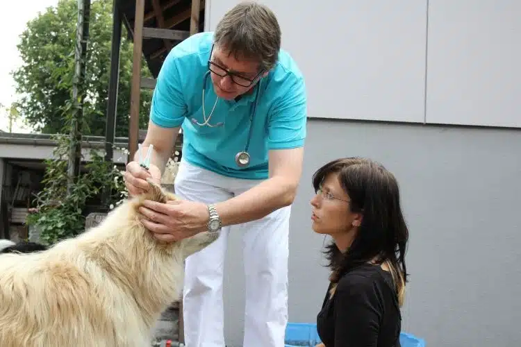 Mobiler Tierarzt Aachen Dr Mahmoud Aly Hilfe auf Rädern: Der mobile Tierarzt » DER HUND