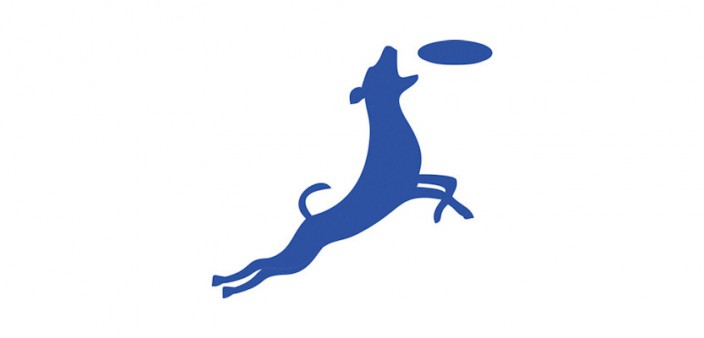 Künstliche Hüfte beim Hund » DER HUND