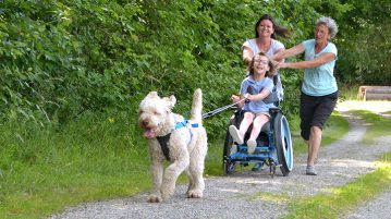 Therapiehund zieht Rollstuhlfahrerin