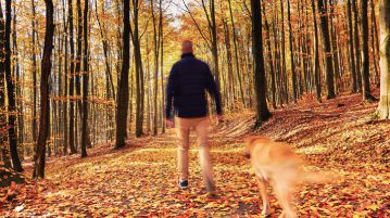 Herbstvergnügen: Mit Hund wandern Herbsttouren mit Hund