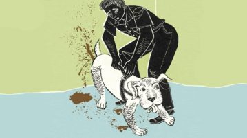 Zeichnung Durchfall Hund