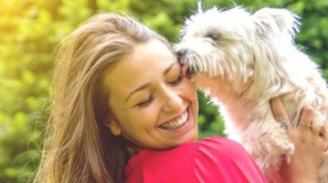 Aktionswochenende zum Tag des Hundes