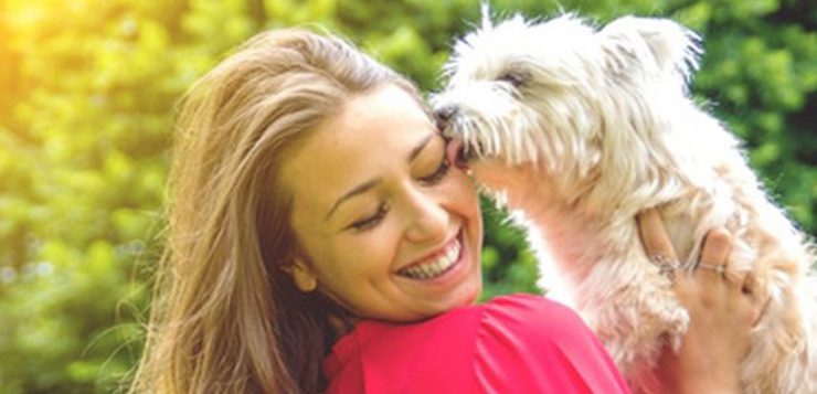 Aktionswochenende zum Tag des Hundes