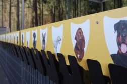 Bellomania Hundetagestätte