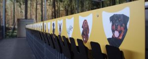 Hundetagestätte