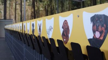 Bellomania Hundetagestätte
