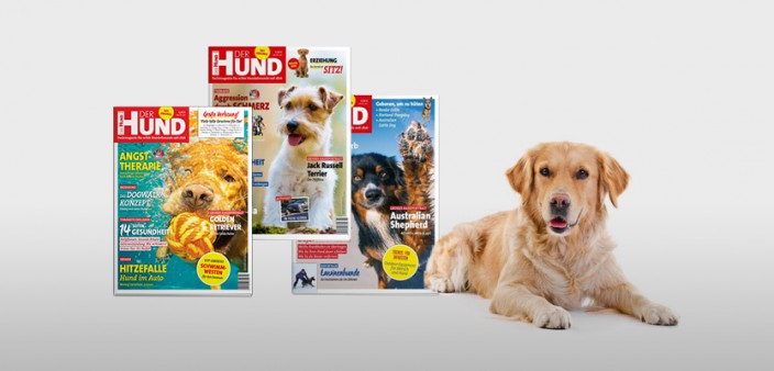 Mandelentzündung (Tonsillitis) » DER HUND