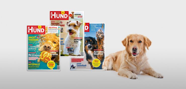 Wenn Der Hund Kaum Kann Was Bei Verstopfung Hilft
