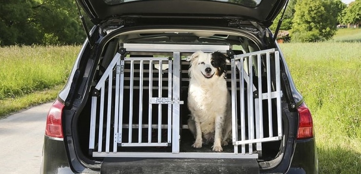 Hundebox für Kofferaum im Auto