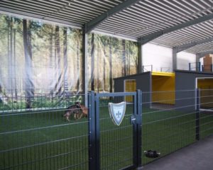 Training Fläche