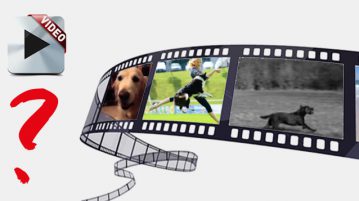 Video des Monats – Leserwahl