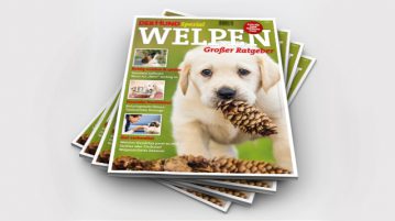 Sonderheft Welpen