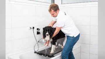 Hunde einfach und bequem duschen