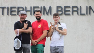 Tierheim Berlin