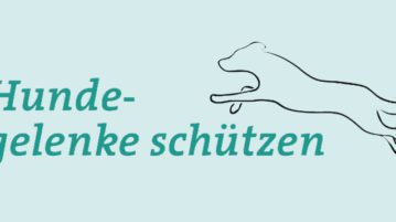 Die Gelenke von Hunden schonen