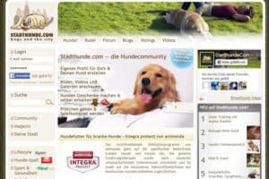 Startseite des Internet-Auftritts von stadthunde.com