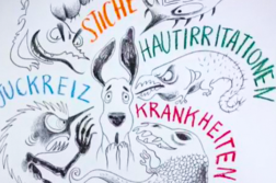 Repellenz: Was ist das denn?