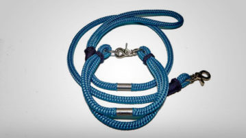 Schickes Halsband für kleine Hunde