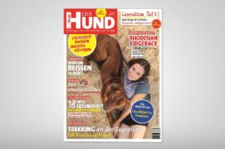 DER HUND Cover 10/2017