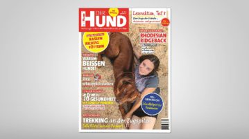 DER HUND Cover 10/2017
